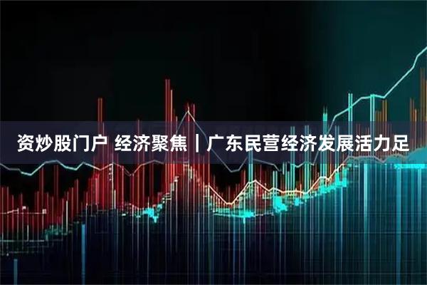 资炒股门户 经济聚焦｜广东民营经济发展活力足